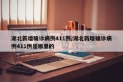 湖北新增确诊病例411例/湖北新增确诊病例411例是哪里的